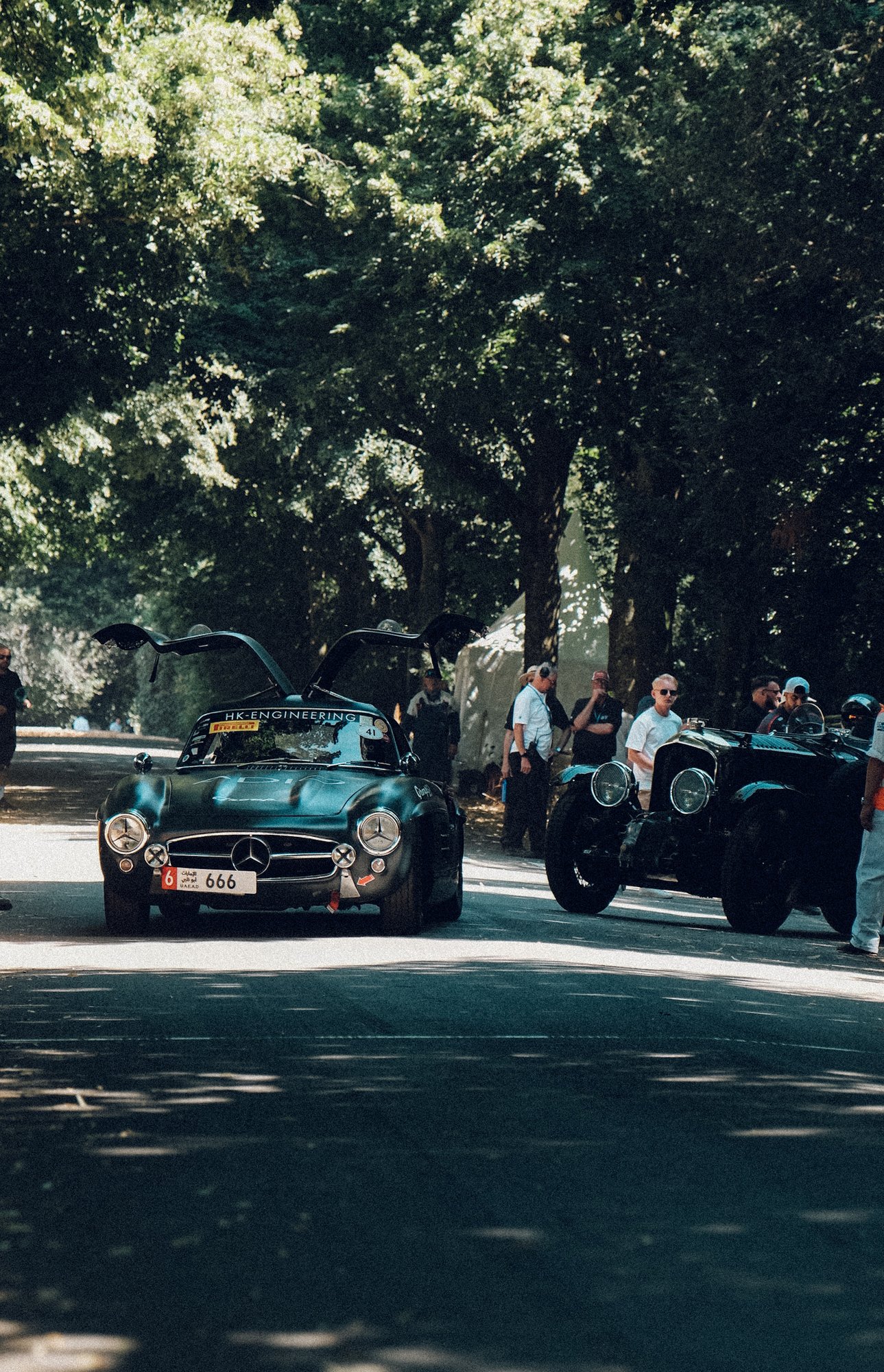 A gullwing Mercedes 300 SL under the trees at Goodwood