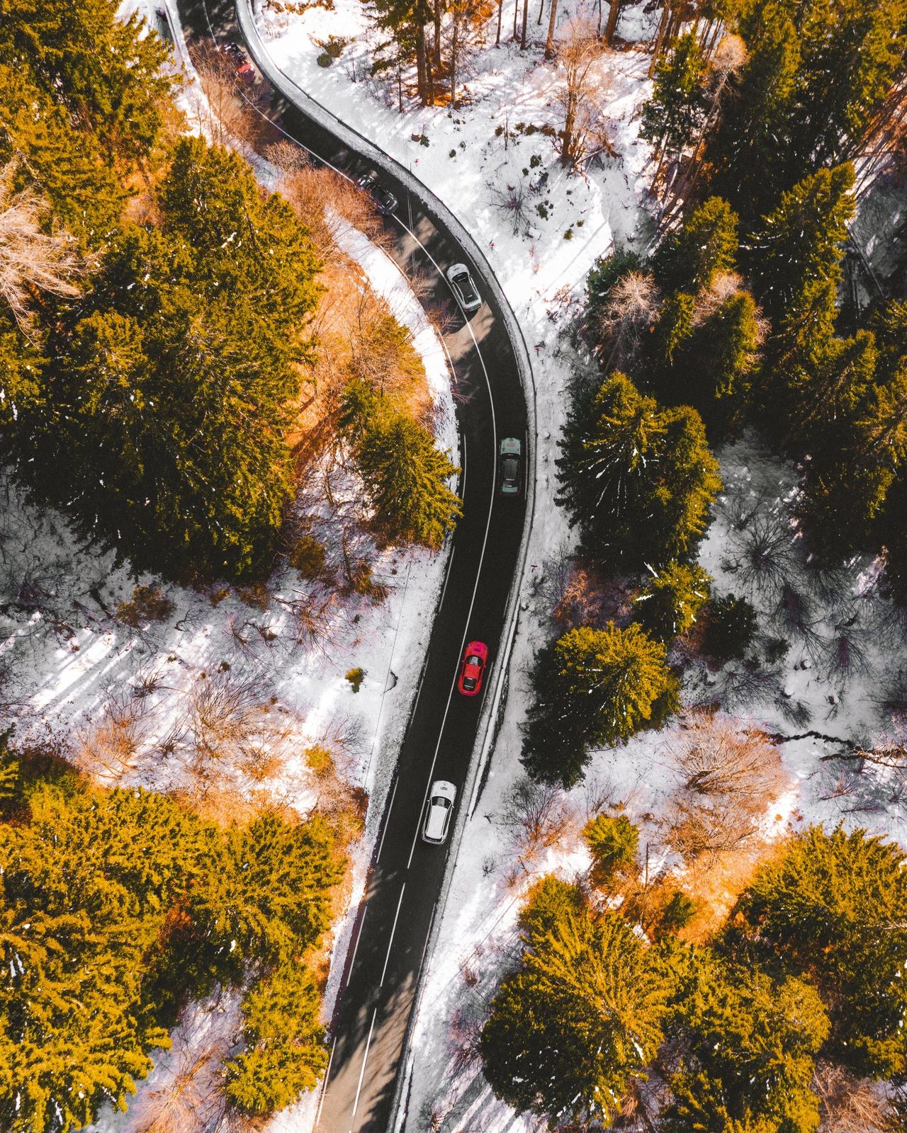 A rally convoy on a winding alpine road through snow and pines